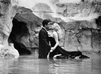 Genesis Cinema's Auteurnative Seasons