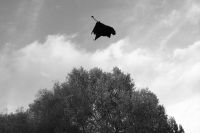 18 - 19 May 2013: Screening Nature Network