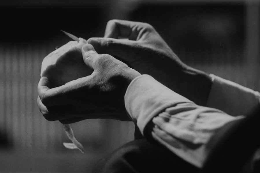 late-spring-yasujiro-ozu-02.jpg