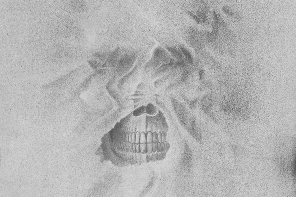 nosferatu-the-vampyre-werner-herzog-01.jpg