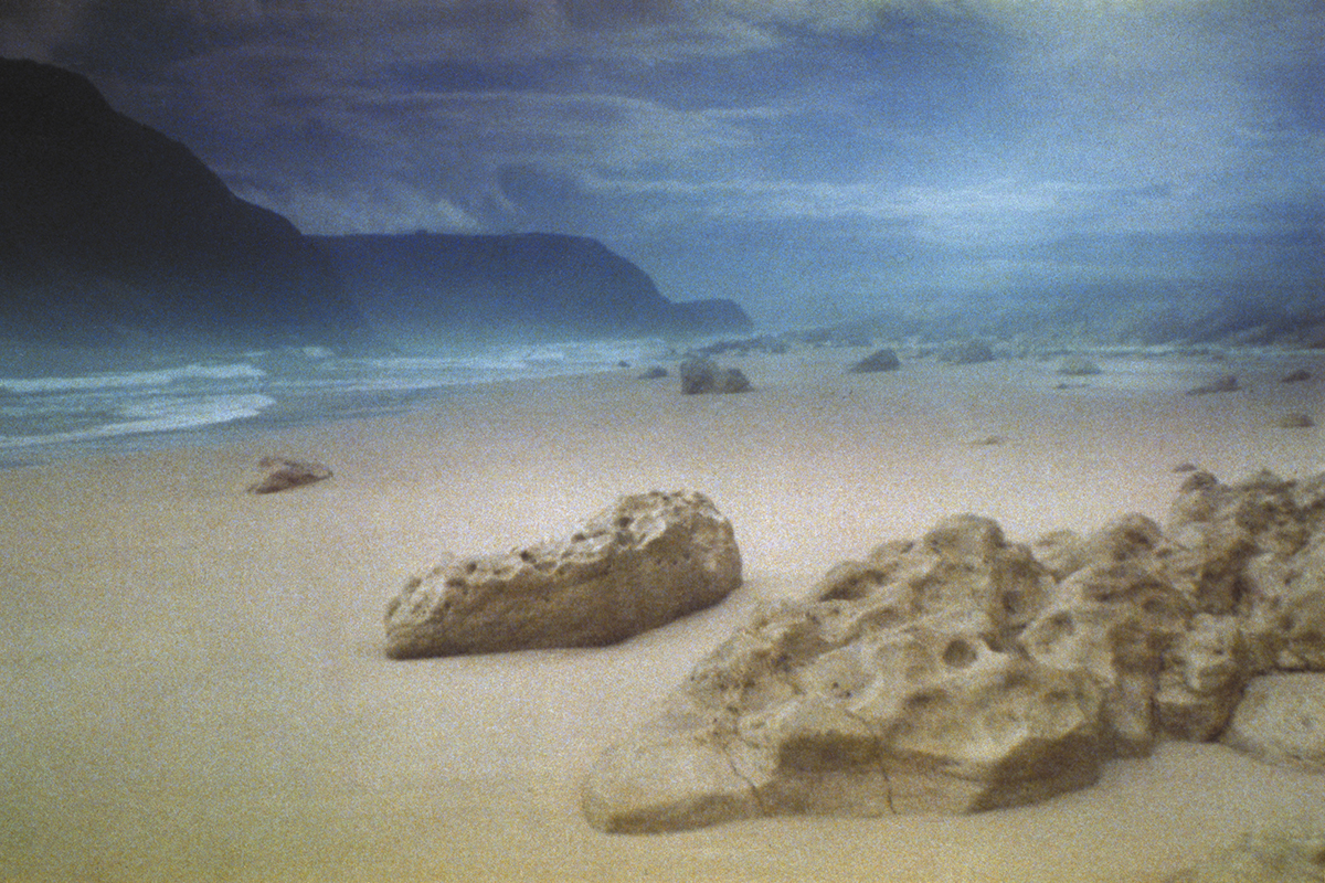 the-seventh-continent-michael-haneke.jpg
