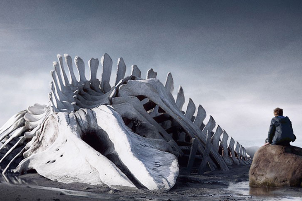 leviathan-andrey-zvyagintsev.jpg