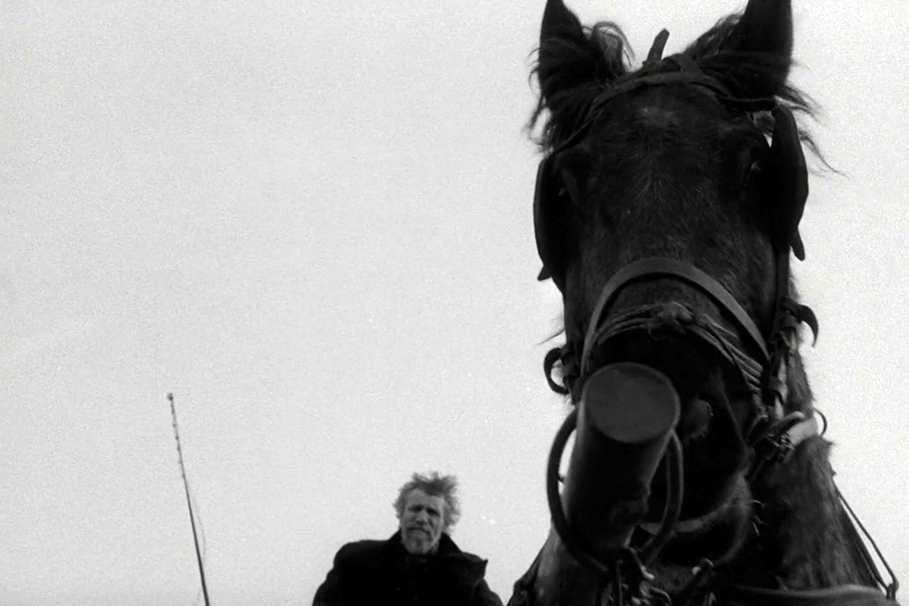 the-turin-horse-bela-tarr.jpg