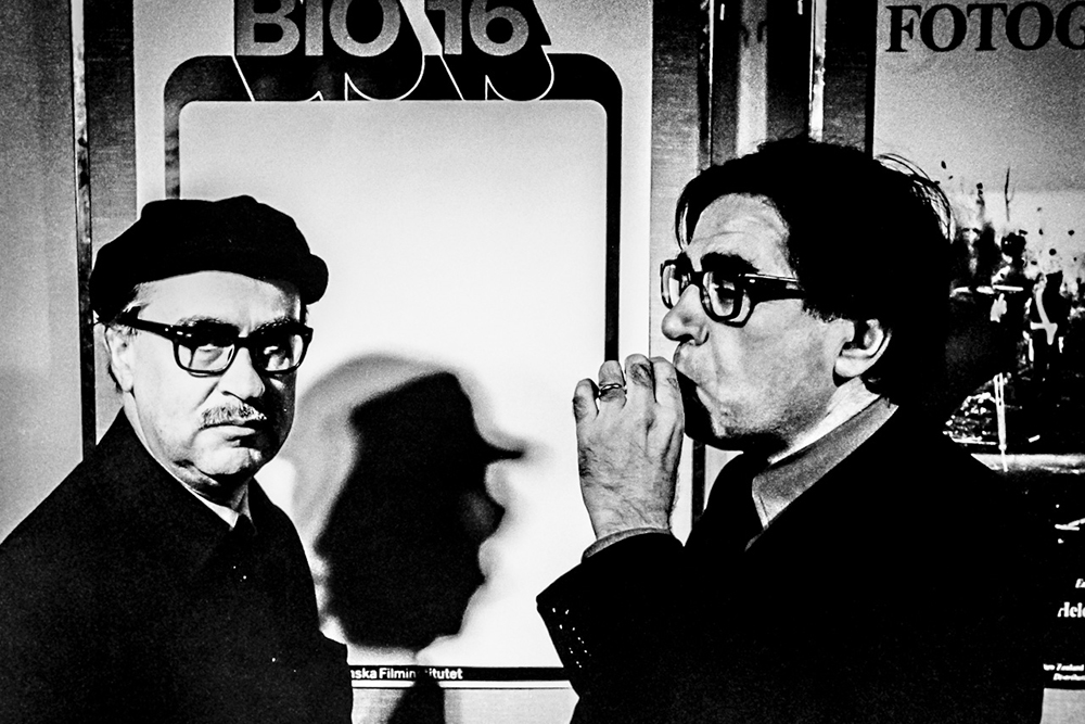 taviani-brothers.jpg