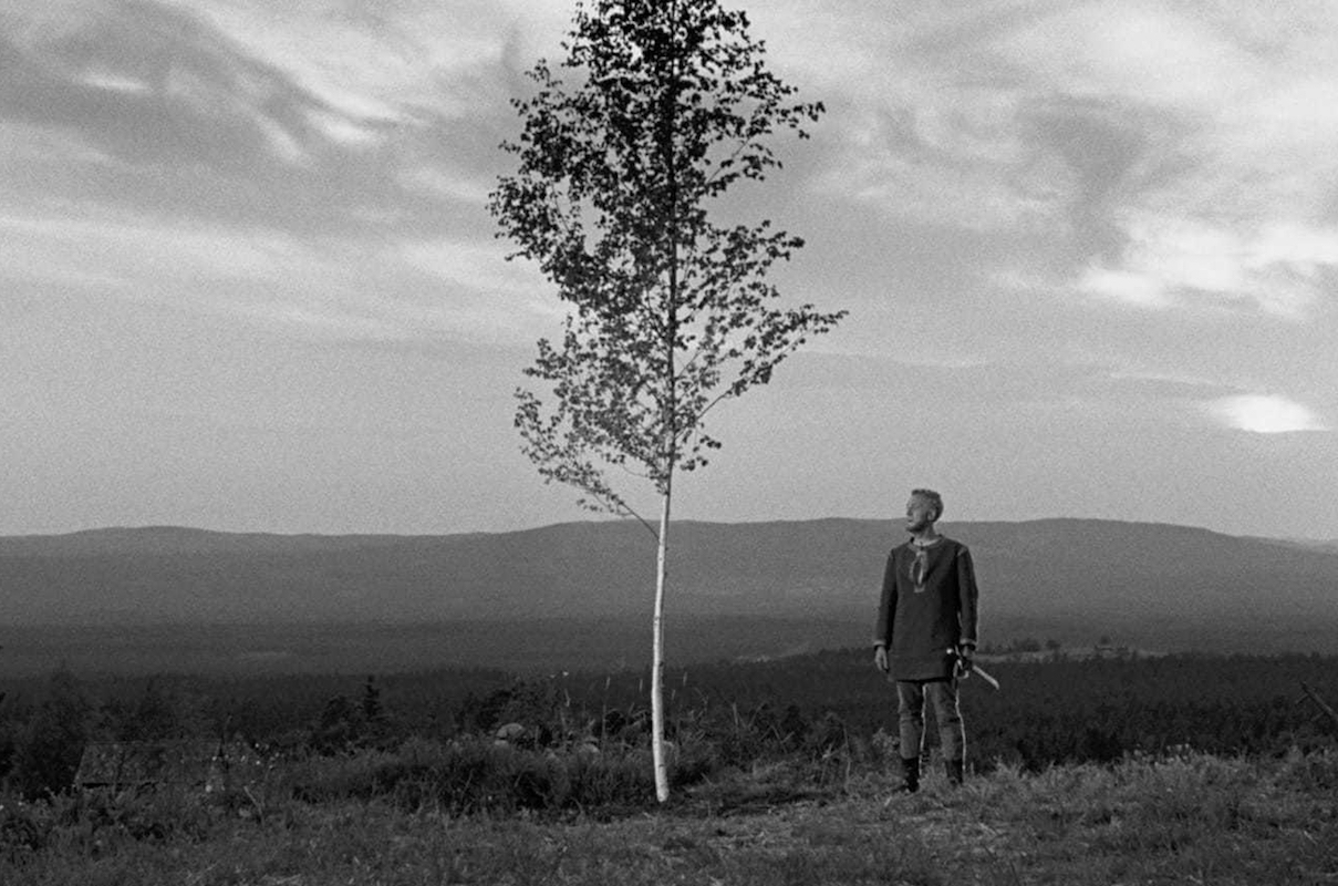 the-virgin-spring-ingmar-bergman.jpg