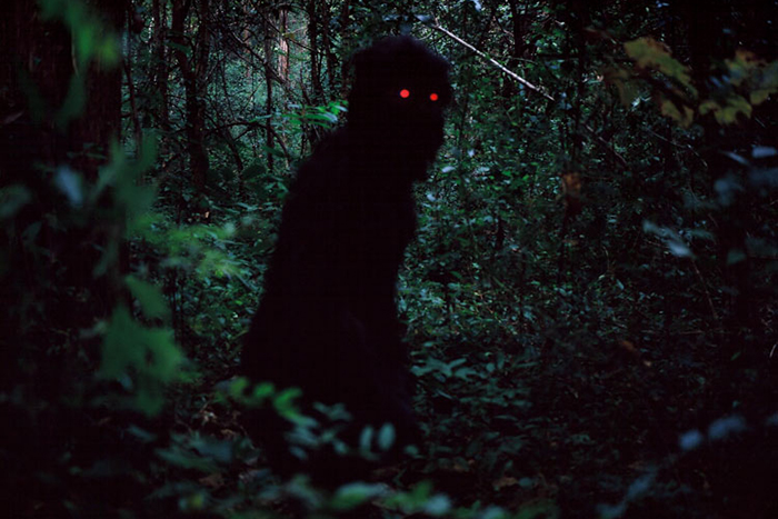 uncle-boonmee-who-can-recall-his-past-lives-apichatpong-weerasethakul-02.jpg