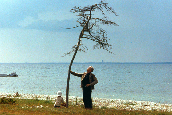 sacrifice-andrei-tarkovsky.jpg