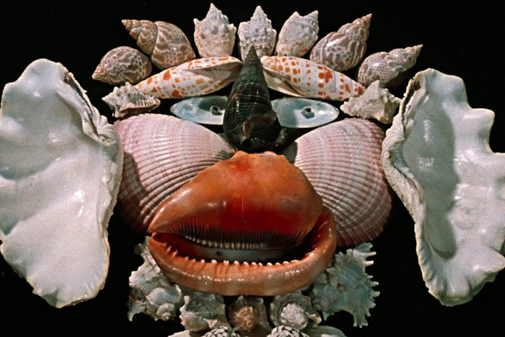 historia-naturae-suita-jan-svankmajer.jpg