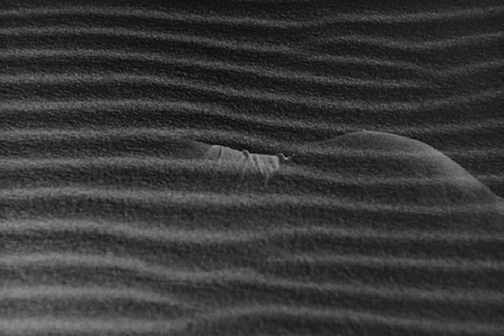 woman-of-the-dunes-hiroshi-teshigahara.jpg
