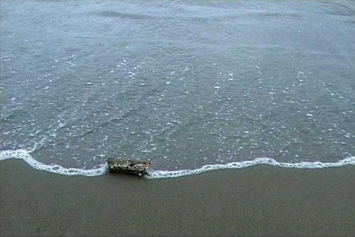 five-abbas-kiarostami.jpg