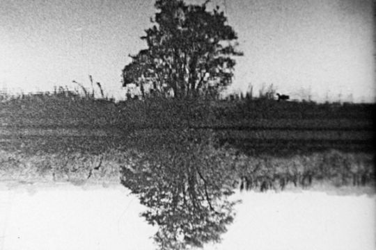 Tree Reflection