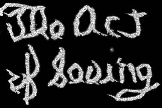 The Act of Seeing with One’s Own Eyes