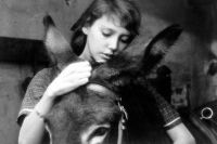 12 - 19 July 2025: Au hasard Balthazar
