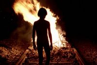 Sun 22 June, 5.30pm: Time of the Wolf