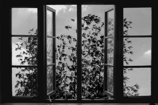 24 Frames