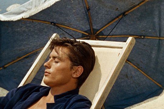 Purple Noon