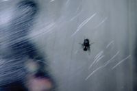 Fri 31 July, 6pm: The Liberated Film Club: Marc Isaacs