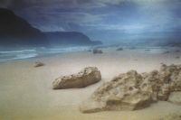 Sat 7 June, 5.30pm: The Seventh Continent