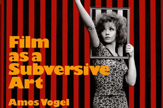 Film as a Subversive Art