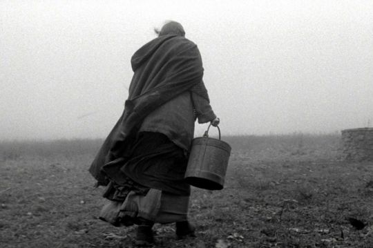 The Turin Horse