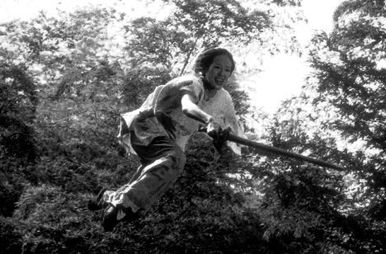 crouching-tiger-hidden-dragon-ang-lee-1.jpg