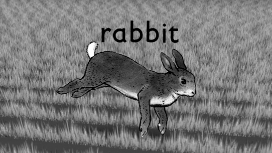 rabbit-run-wrake.jpg
